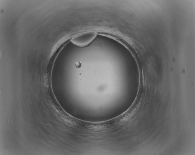 X0000074311501200609011459