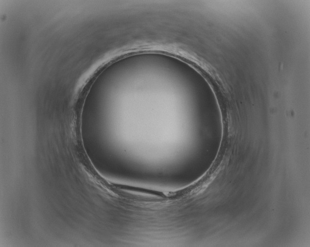 X0000074311502200609011459