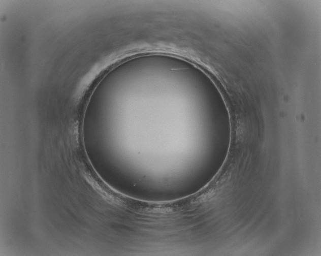 X0000074311503200609011459