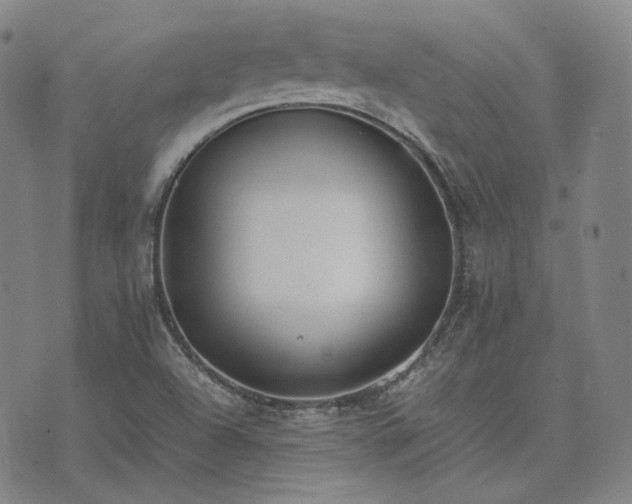 X0000074311504200609011459