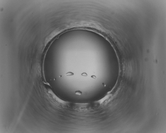 X0000074311505200609011459