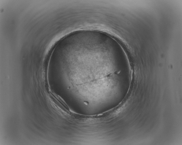 X0000074311506200609011459