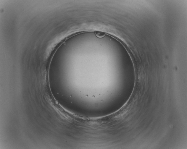 X0000074311507200609011459