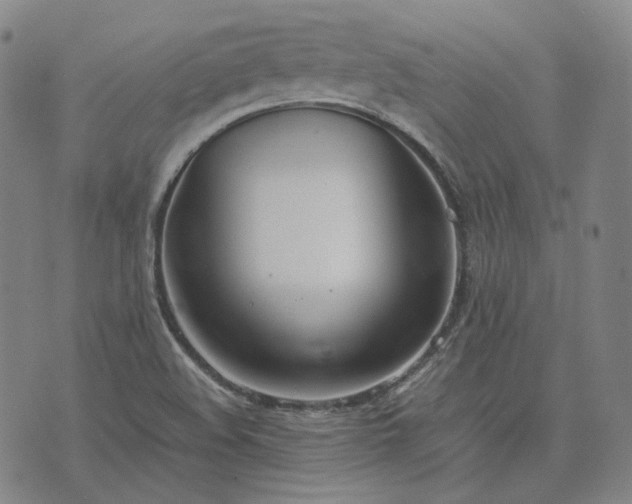 X0000074311508200609011459