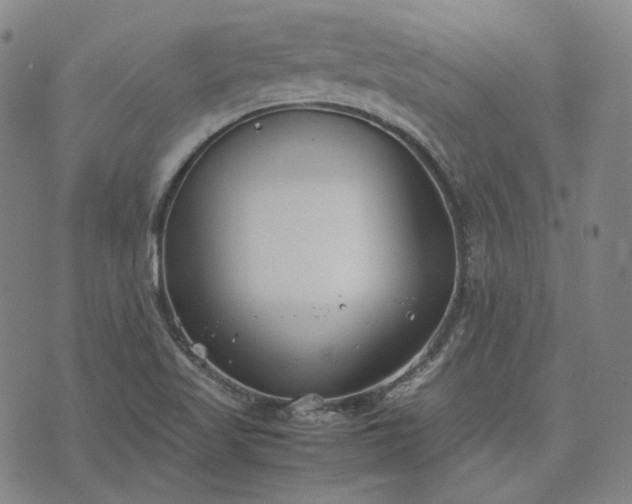 X0000074311509200609011459