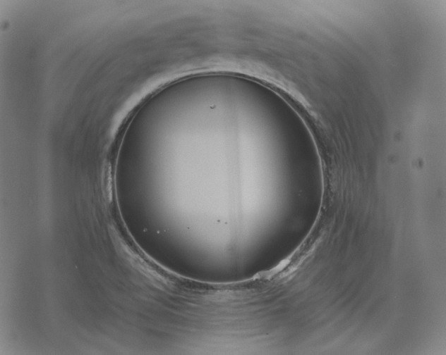 X0000074311510200609011459