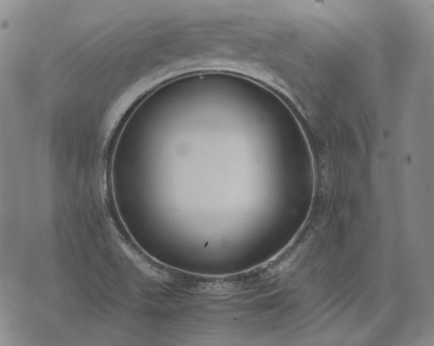 X0000074311511200609011459