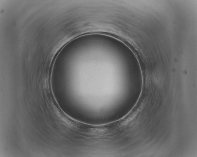 X0000074311513200609011459