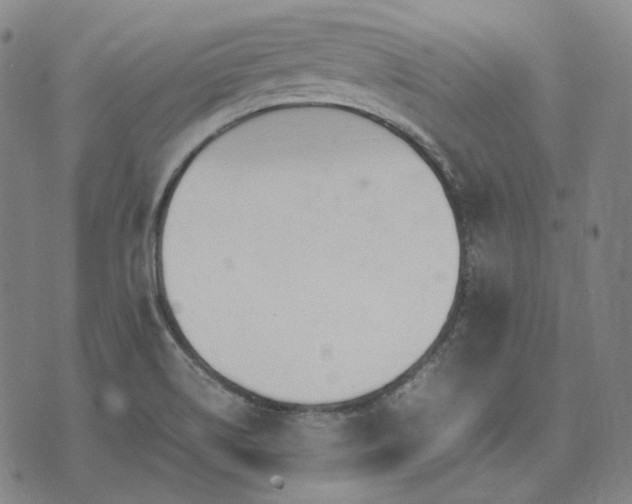 X0000074311514200609011459