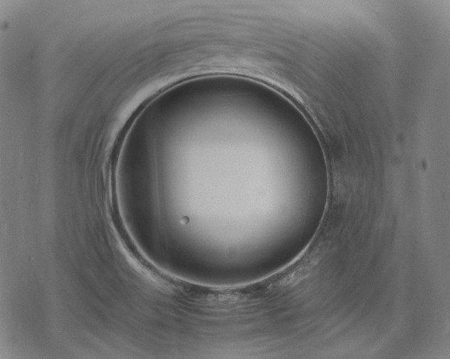 X0000074311515200609011459