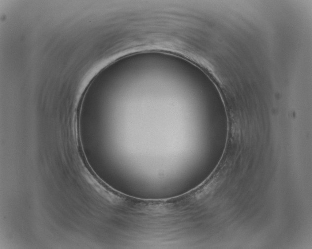 X0000074311516200609011459