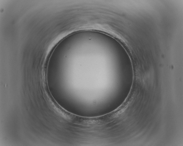 X0000074311517200609011459