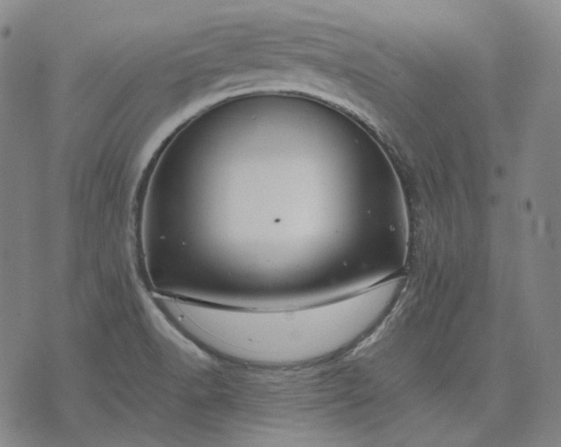 X0000074311518200609011459