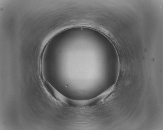 X0000074311520200609011459