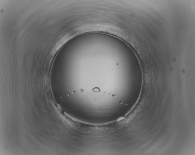 X0000074311521200609011459