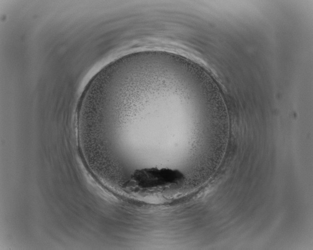 X0000074311522200609011459