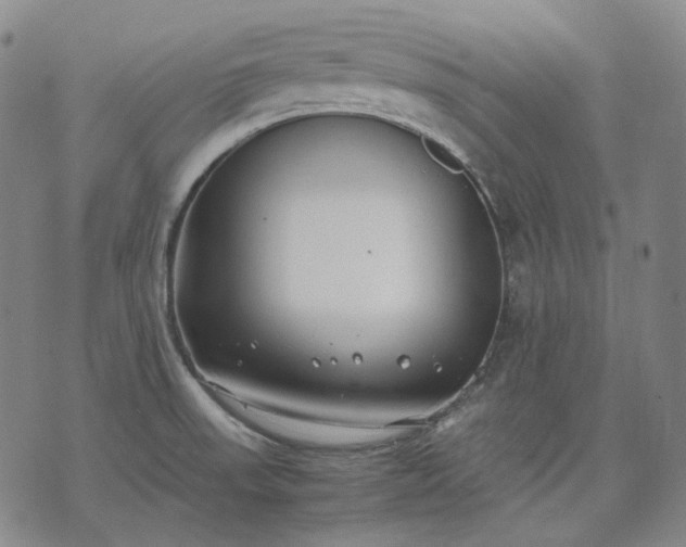 X0000074311523200609011459