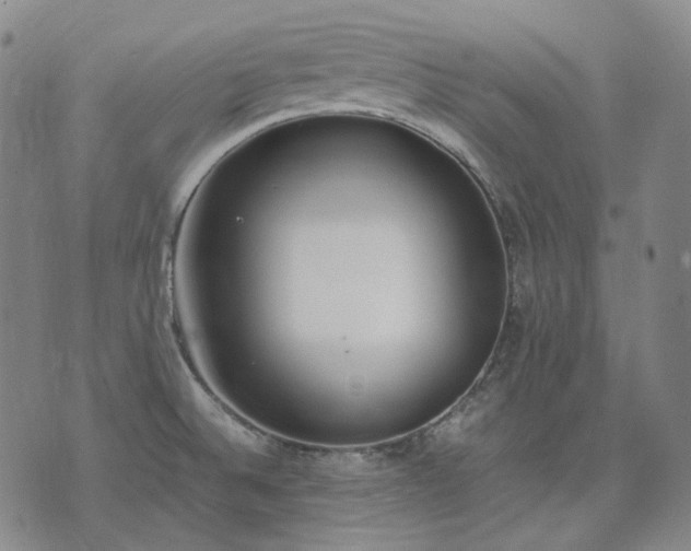 X0000074311524200609011459