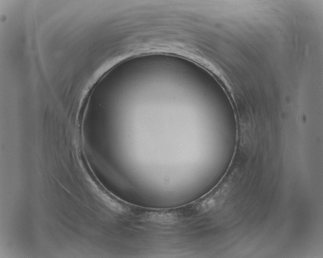 X0000074311525200609011459