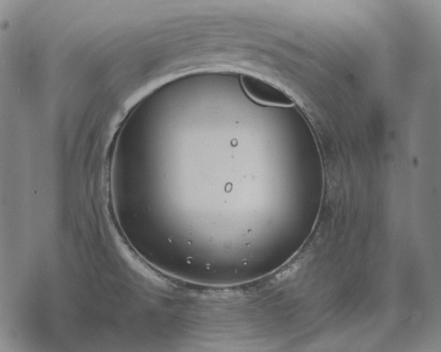 X0000074311526200609011459