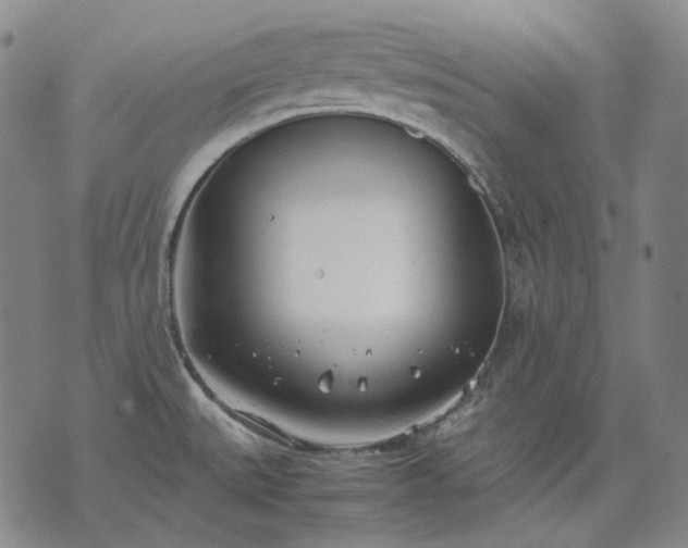 X0000074311527200609011459