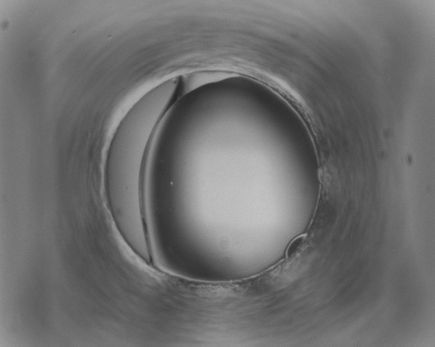 X0000074311528200609011459