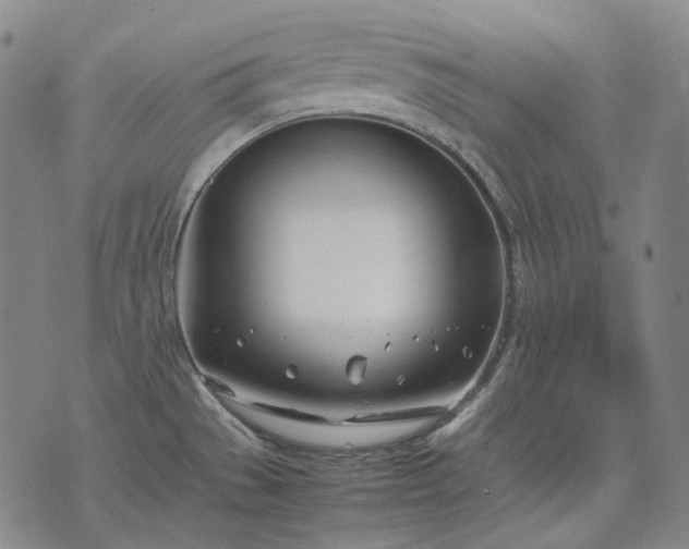 X0000074311529200609011459