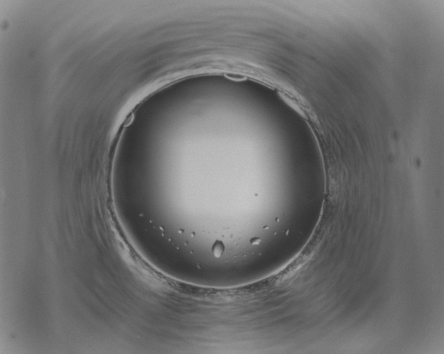 X0000074311530200609011459