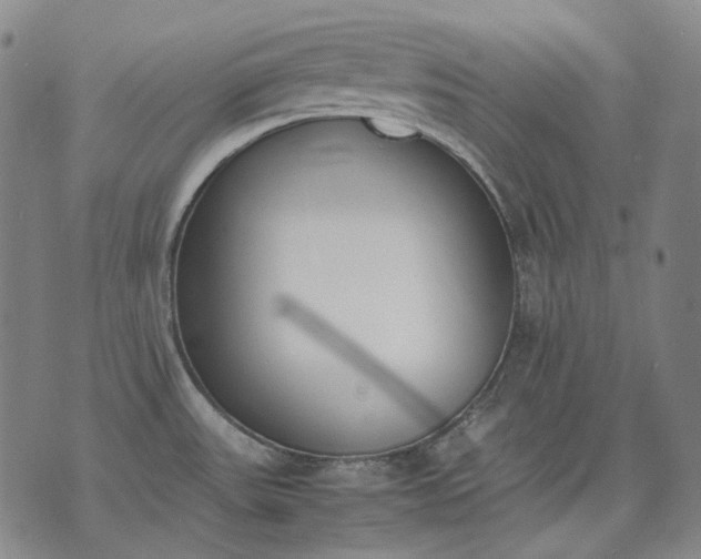 X0000074311531200609011459