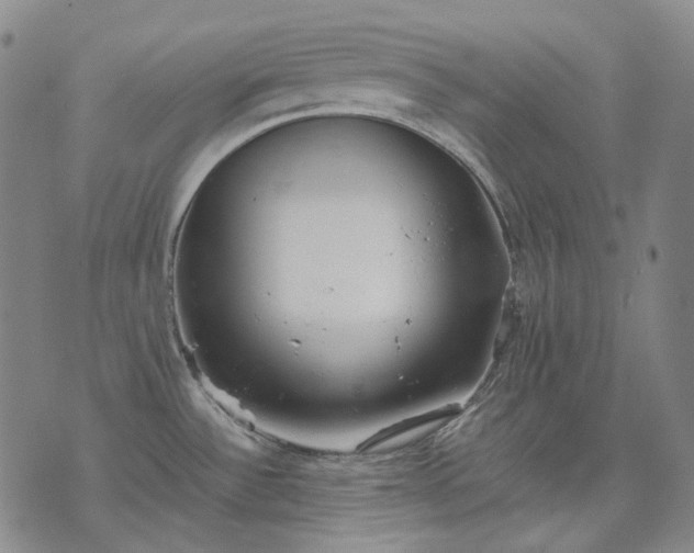 X0000074311532200609011459