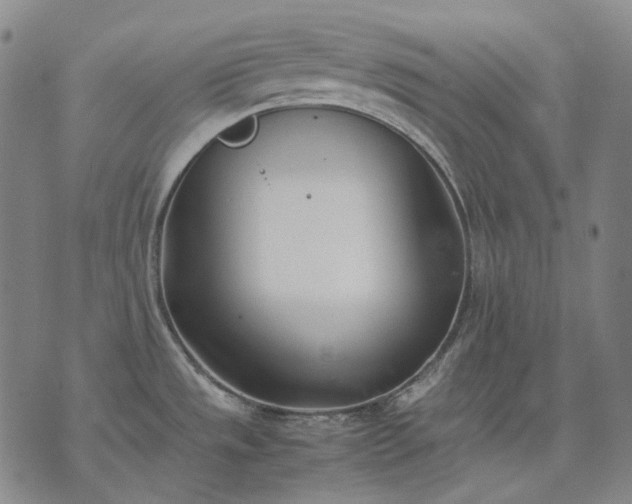 X0000074311533200609011459