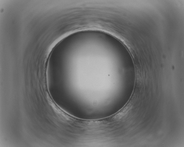 X0000074311534200609011459