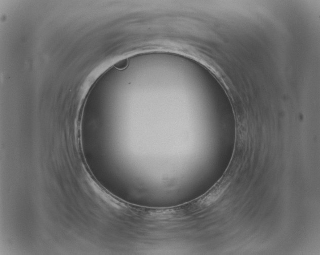 X0000074311535200609011459