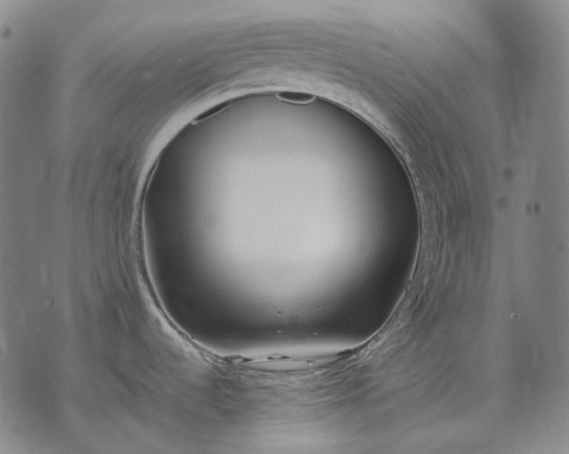 X0000074311536200609011459