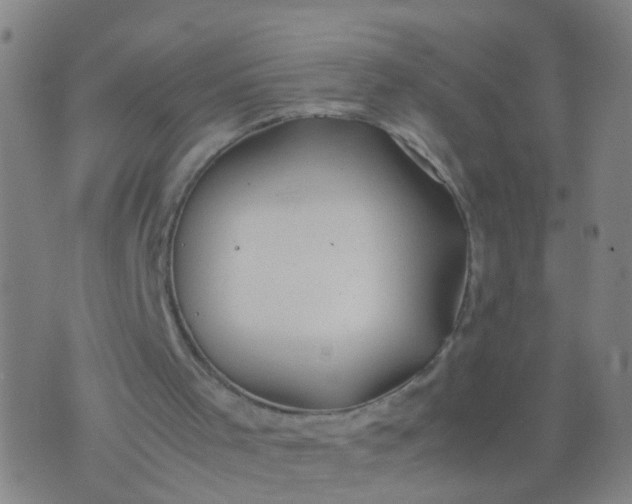 X0000074310001200609081954