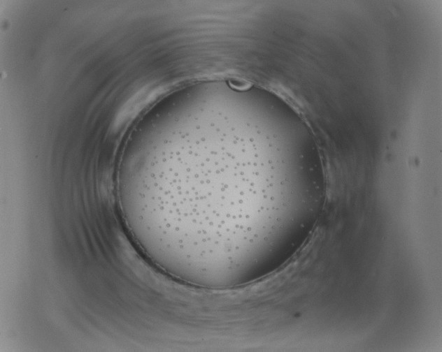 X0000074310002200609081954