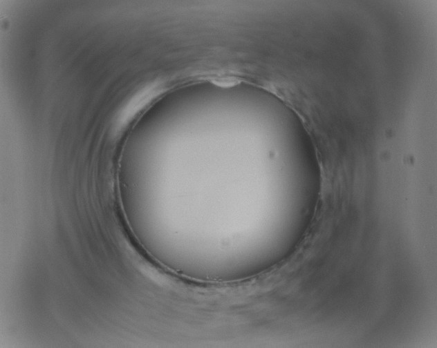 X0000074310005200609081954