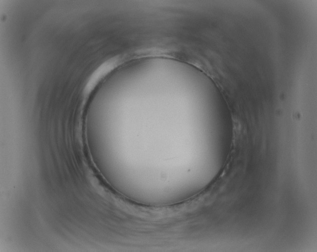 X0000074310006200609081953