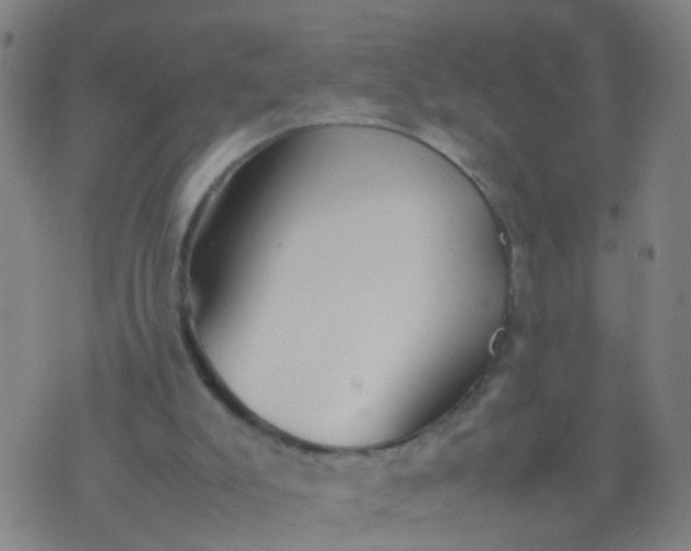 X0000074310007200609081953