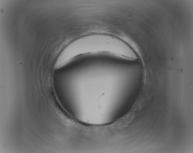 X0000074310009200609081953