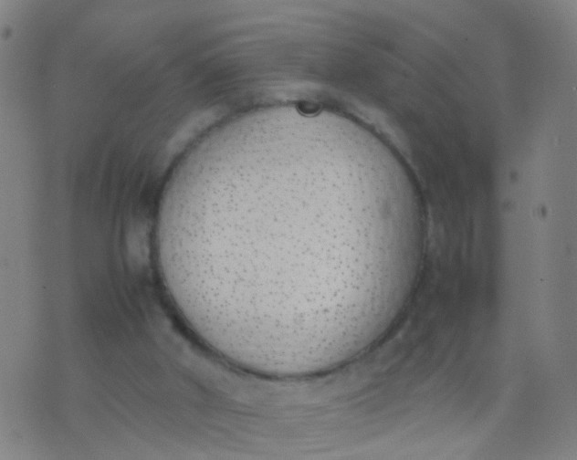 X0000074310010200609081953