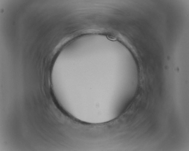 X0000074310011200609081953