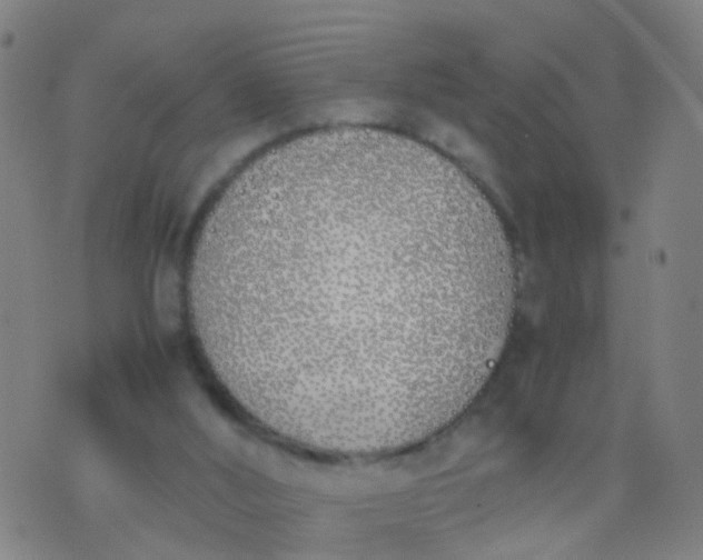 X0000074310012200609081953