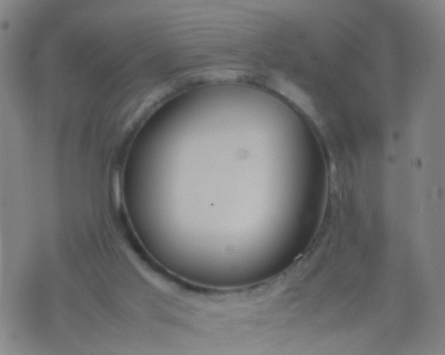 X0000074310013200609081953