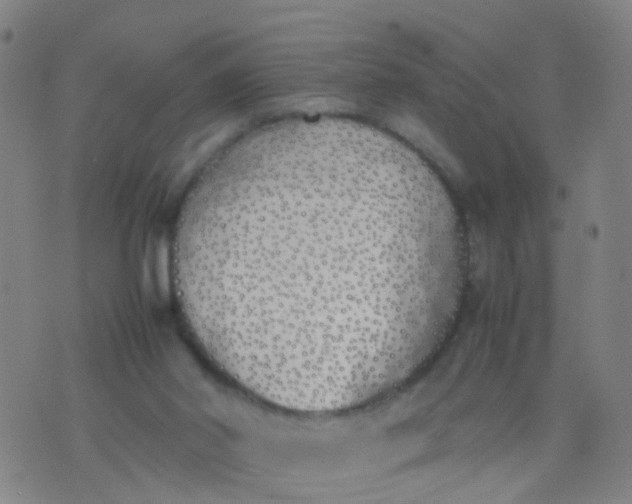 X0000074310014200609081953