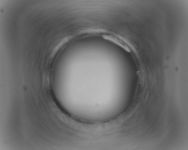 X0000074310015200609081953