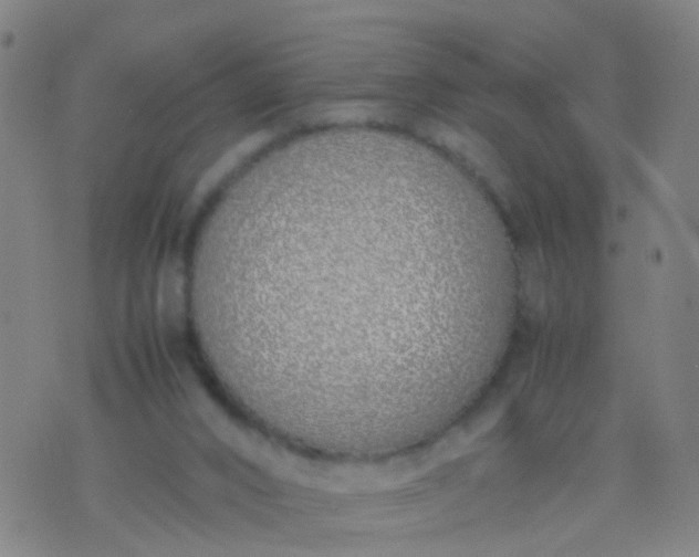 X0000074310016200609081953