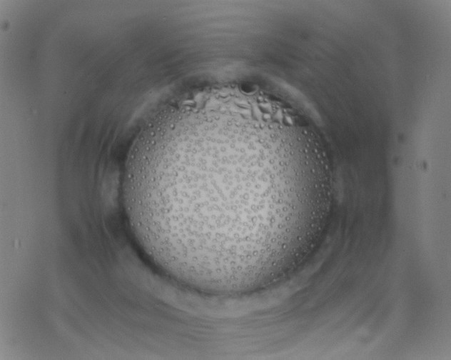 X0000074310018200609081953