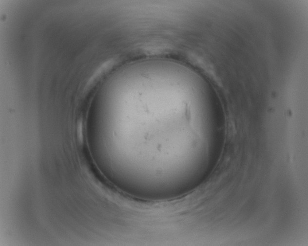 X0000074310019200609081953