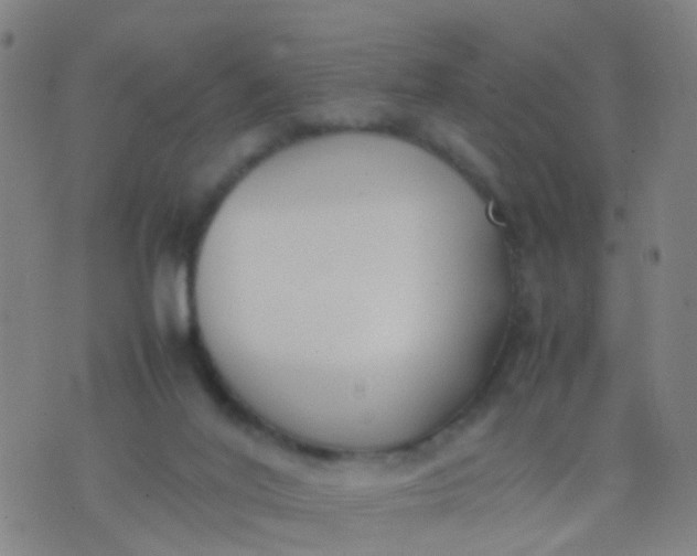 X0000074310020200609081953